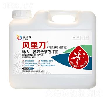 ��Ч�๦�ܾ���-�L(f��ng)�ﵶ-�G����