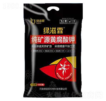 ���VԴ�S�����-�G����