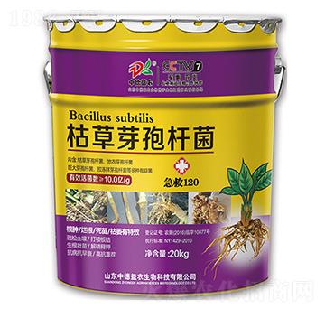 ����120�ݲ�ѿ�ߗU��-�е����r(n��ng)