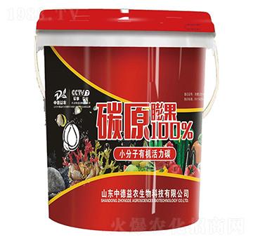 ̼ԭ���-�е����r(n��ng)