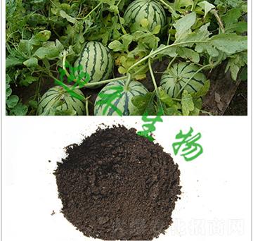 �����ЙC��-ӭ������