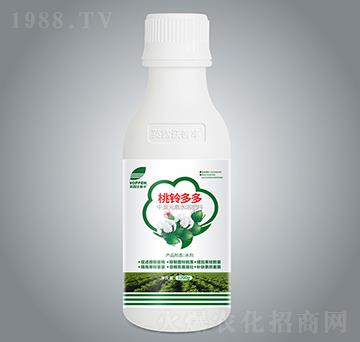 ��⏶��-Ӣ¶�����S