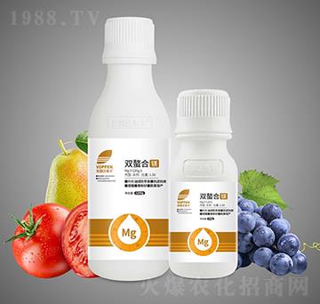 �p�����V-Ӣ¶�����S