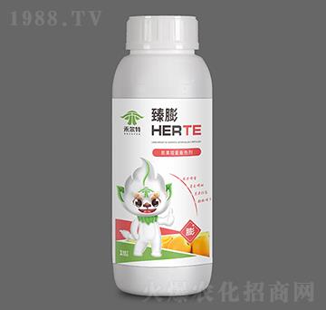 ���������ɫ��-����-�̠���