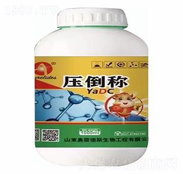 �����Q-�W�׵�˹