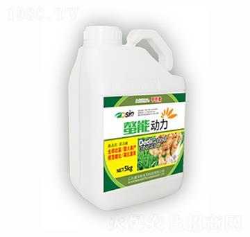 ���܄�(d��ng)��-������