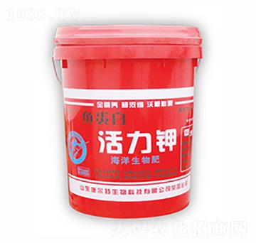 �~(y��)���׻����-������