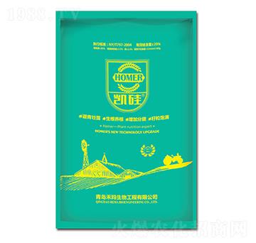 ����s���~���-�P��-�̬�����