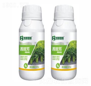 �۲ˌ����~���-���﷼-�̷f����