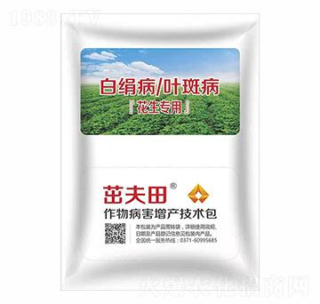 �����׽����~�߲��P����