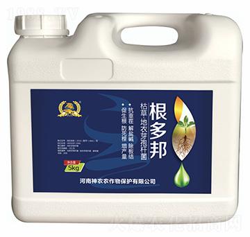 �ݲ�ѿ�ߗU��-�����-