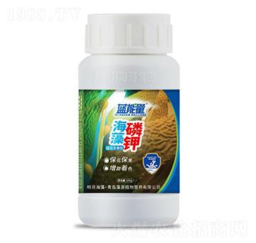 200g�ٻ��S���ͺ������-�{����-��Դֲ��