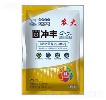 ���������ϵ��-���_�S-�r�]�ʘI(y��)