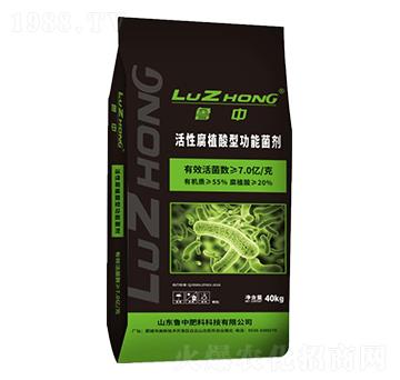 ���Ը�ֲ���͹��ܾ���-�r(n��ng)�]�ʘI(y��)