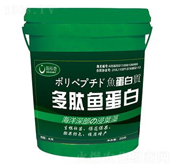 �����~����-������