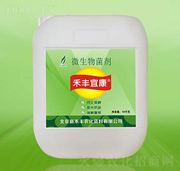 ΢�������-���S�˿�-�º��S