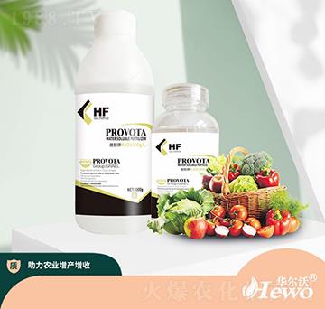 �Ǵ��-����-�A����