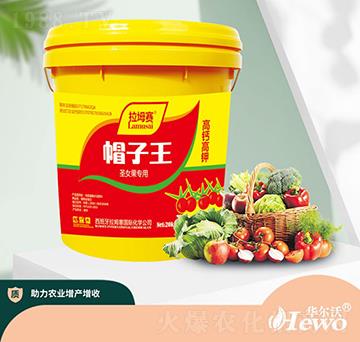 ʥŮ������-��ķ��-�A����