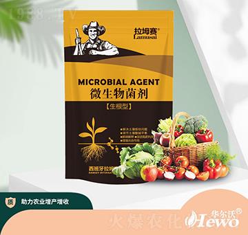 ΢�������-����ِ-�A����