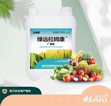 �G�h(yu��n)��ķ��-����ِ-�A����