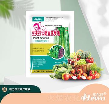 ������L(zh��ng)��ֱ���v�-�A����