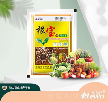 �����ĺ�һ-�A����