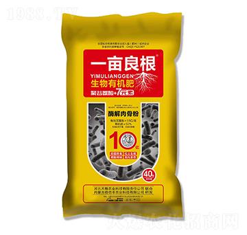 �����ЙC��-һ������-��Z�r(n��ng)�I(y��)