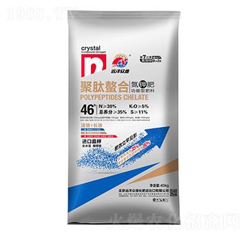 �������ϵ�⛹����ͷ���30-0-5-�h(yu��n)�󱊵�