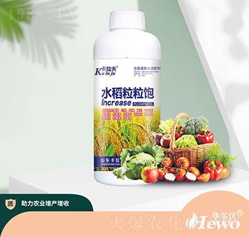 ˮ�������-������-�A����