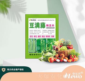 ��?ji��)M����ֱ�L(zh��ng)-�A����