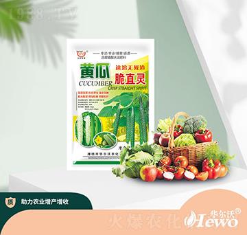 �S�ϴ�ֱ�`-�A����