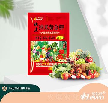 ϡ���{���S���-�A����