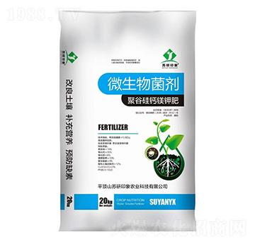 �۹ȹ��}�V⛷�-�K��ӡ��