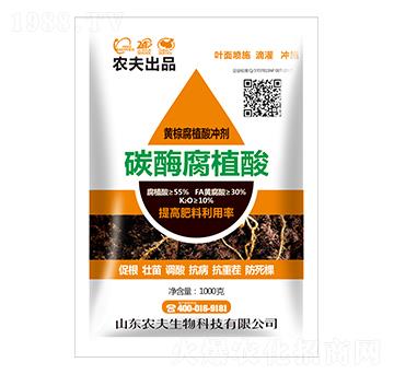 ̼ø��ֲ��_��-�r(n��ng)������