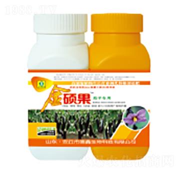 ���ӌ����~���-��T��-��������