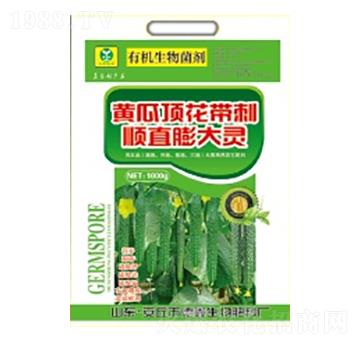 �S��픻������ֱ����`-��������