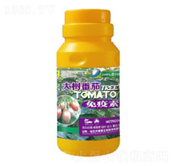 ��䷬��������-��������