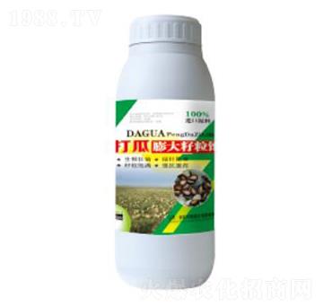 打瓜膨大籽粒-德鑫生物