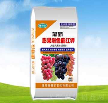 ���������ɫ�߼t�-���ؠ��r��