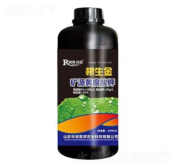 �VԴ�S�����-������-��(r��n)��փ�(y��u)-�A��(r��n)�s��