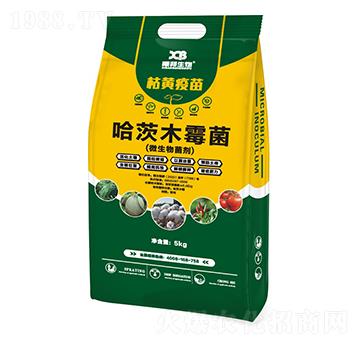 ����ľù��-���S����-�ذ�����