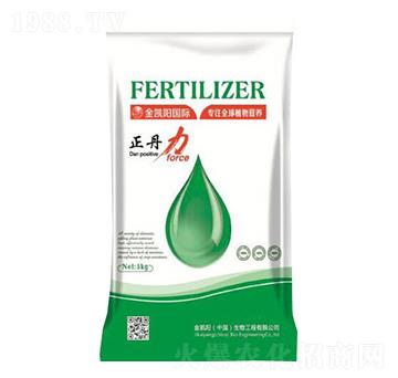 ������-���P�