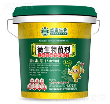 �˅�����΢�������-ʢ̩����