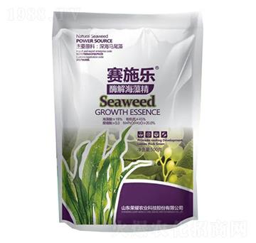 ø�⺣�徫-ِʩ��-�sҫ�r�I(y��)