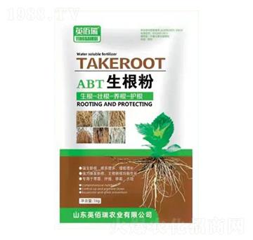 ������-Ӣ����-�sҫ�r(n��ng)�I(y��)