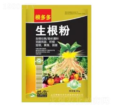 ������-�����-�sҫ�r(n��ng)�I(y��)