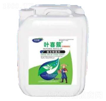 �~ϲ��-΢�������-�sҫ�r(n��ng)�I(y��)