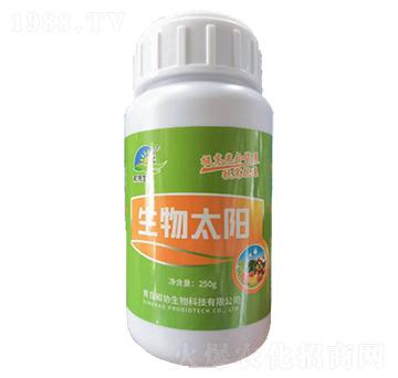 ΢�������-����̫�-�ͅf(xi��)����