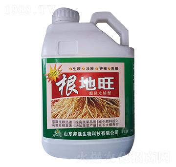 ������-������-����ţ