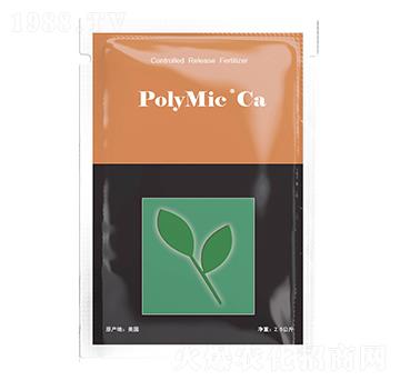 ��֬��Ĥ�}��-��������-�����ߺ�